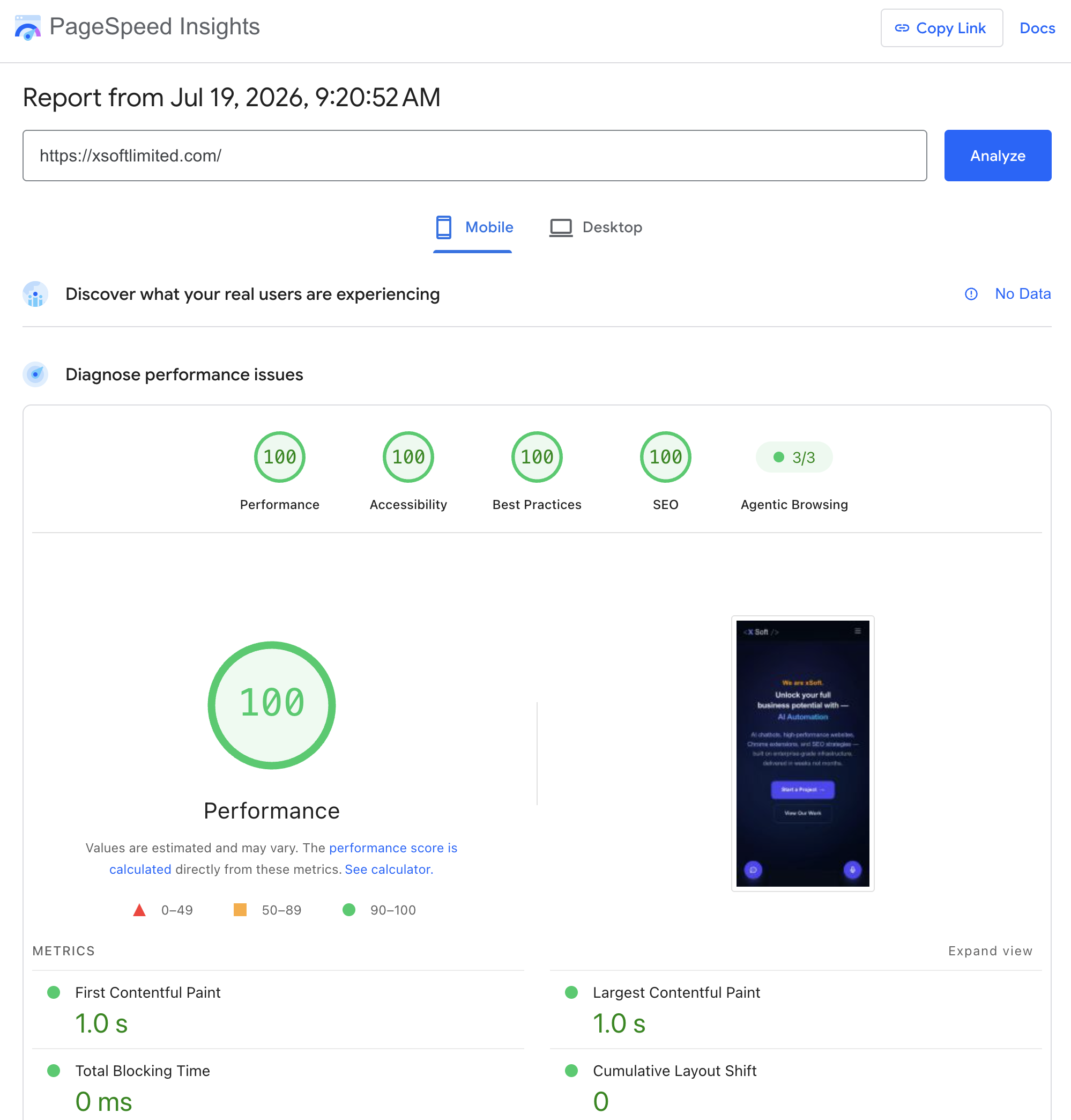 Google PageSpeed Insights — 100 Performance, 94 Accessibility, 96 Best Practices, 100 SEO